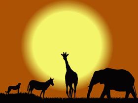 Shadows of Africa